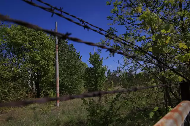 Teren dawnych tramwajowych torów odstawczych zostanie sprzedany.Przejdź do kolejnego zdjęcia --->