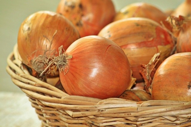 Cebula ma bardzo dużo zastosowań w kuchni. Możemy ją zjeść w postaci surowej, duszonej jako dodatek do wielu potraw. Dzięki cebuli potrafią one zmienić smak. To warzywo które sprawdzi się zarówno w kuchni babcinej jak i tej nowoczesnej. Sprawdźcie dlaczego warto jeść cebulę i kto powinien włączyć ją do diety. Szczegóły na kolejnych zdjęciach >>> 