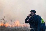 Pożar w Biebrzańskim Parku Narodowym. Prokuratura umorzyła śledztwo z powodu niewykrycia sprawców [ZDJĘCIA]