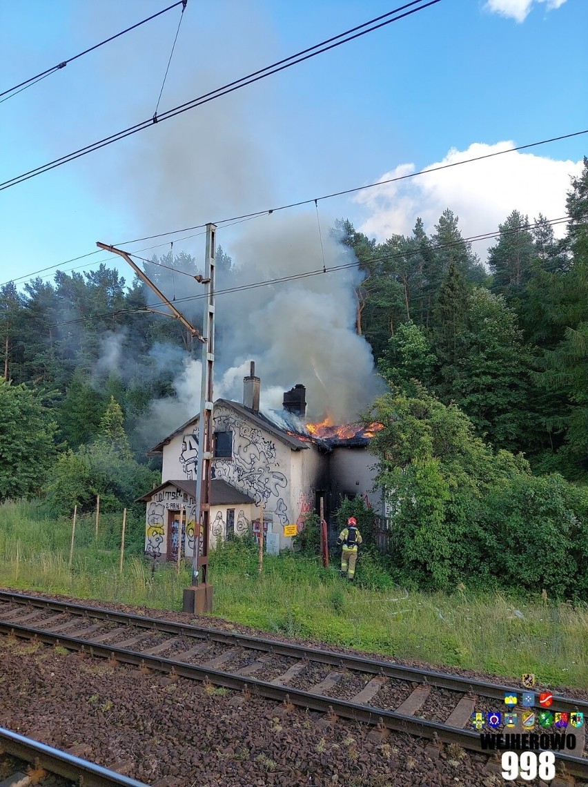Pożar w okolicach stacji PKP Reda - Pieleszewo (10.07.2022). Były utrudnienia w ruchu kolejowym na trasie Wejherowo - Reda | ZDJĘCIA