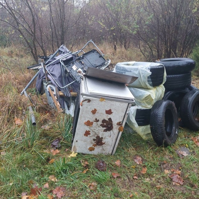 Porzucone odpady zastali leśnicy w lesie w Otominie