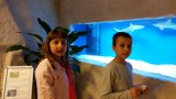 Firma Aquaboro z Niemodlina zrobiła akwaria do oceanarium w Warszawie [zdjęcia]