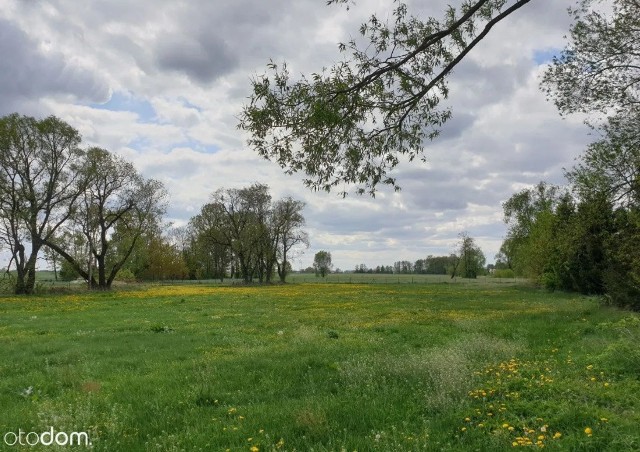 Zakup działki budowlanej to pierwszy krok na drodze do wymarzonego domu. Zobacz oferty tanich działek budowlanych w okolicach Białegostoku i w województwie podlaskim.