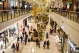 Święta Bożego Narodzenia 2023. Jakich prezentów Polacy spodziewają się pod choinką i ile zamierzają na nie wydać? 