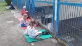 Dzieci czytają książki psom w schroniskach