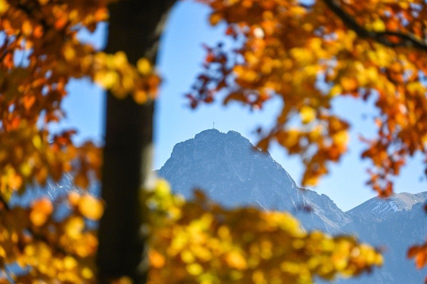 Jesienne Zakopane i Tatry widziane z Gubałówki. Te widoki naprawdę zachwycają ZDJĘCIA