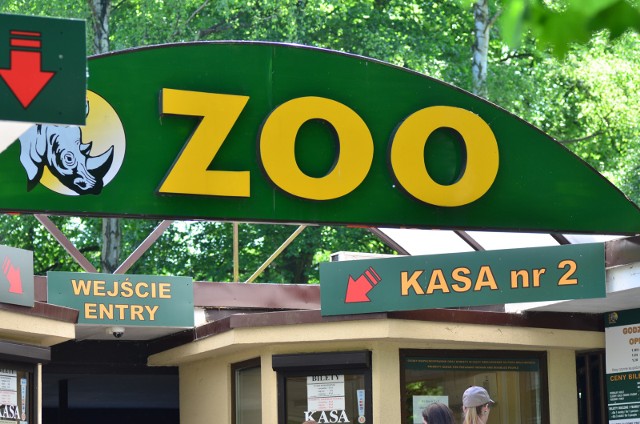 Weekend w Zoo. Liczne atrakcje 5-6 lutego.