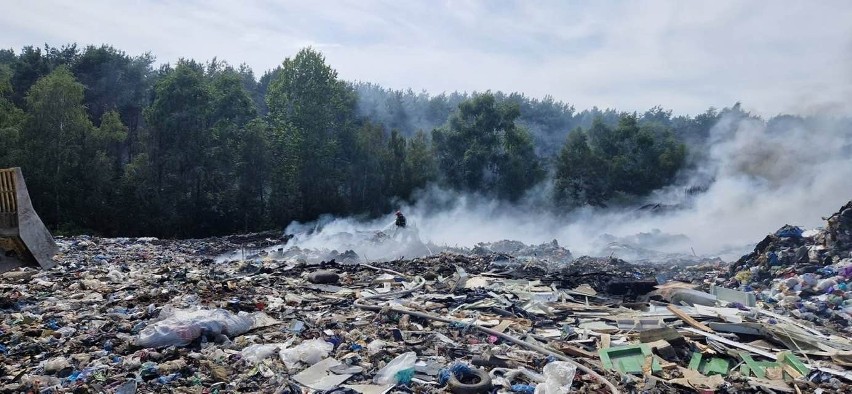 Ogień na wysypisku śmieci w miejscowości Niedźwiedź w...