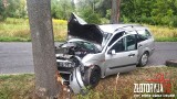 Samochód osobowy uderzył w drzewo. Lądował śmigłowiec LPR
