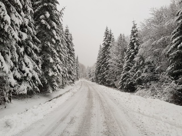 Zima w Bieszczadach. Zdjęcia udostępniła nam Ewelina Baran z Centrum Promocji Leśnictwa w Mucznem.
