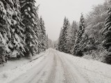 Piękna zima w Bieszczadach. Muczne przysypane śniegiem [ZDJĘCIA]