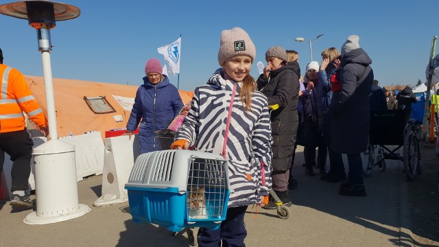 Statystyczny Polak przeznaczył około 369 zł na pomoc dla osób uciekających przed wojną.