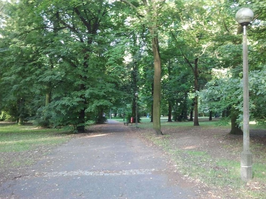 Park górczyński w Poznaniu