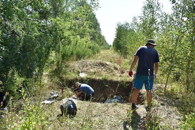Archeolodzy z Polskiej Akademii Nauk działają w gminie Orońsko od 2016 roku.