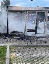 Seria podpaleń w Warzymicach. Podpalacz w rękach policji? Ma postawione zarzuty