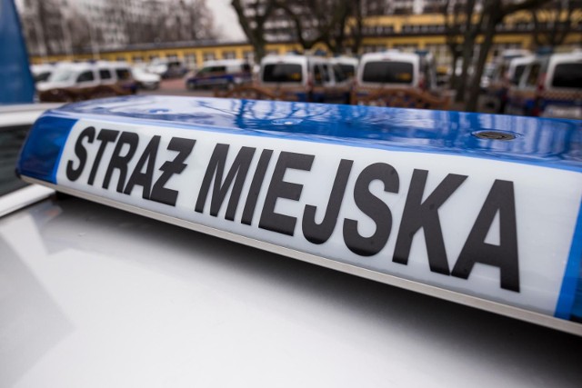 Interwencja Straży Miejskiej Czechowice Dziedzice, zdjęcie ilustracyjne
