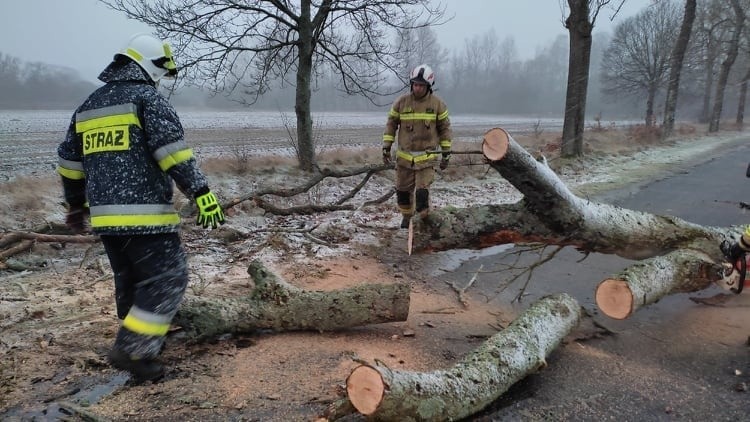 Silny wiatr w regionie koszalińskim. Strażacy informują o pierwszych interwencjach [ZDJĘCIA] 