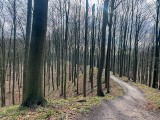 Buki, pociski i sporo wspinaczki. Podszczecińskie „bieszczady” przed laty  