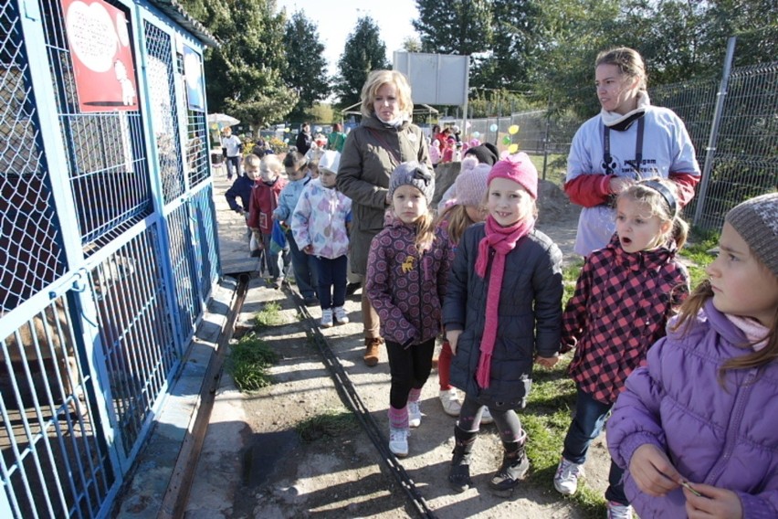 Światowy Dzień Zwierząt w Schronisku dla Zwierząt...