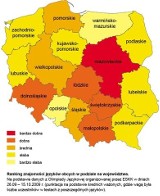 Językowa mapa Polski, czyli ranking znajomości języków obcych wg. regionów. Jesteśmy najlepsi
