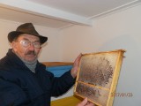 Fascynujący świat pszczół w opowieści Jerzego Michalskiego