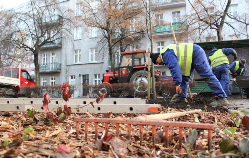 Przy bloku na ul. PCK 21-25 w Toruniu odnowiono zielony...