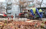 [radar] Urządzono skwer przy ul. PCK w Toruniu. Prace zrealizowano w ramach budżetu obywatelskiego [zdjęcia]