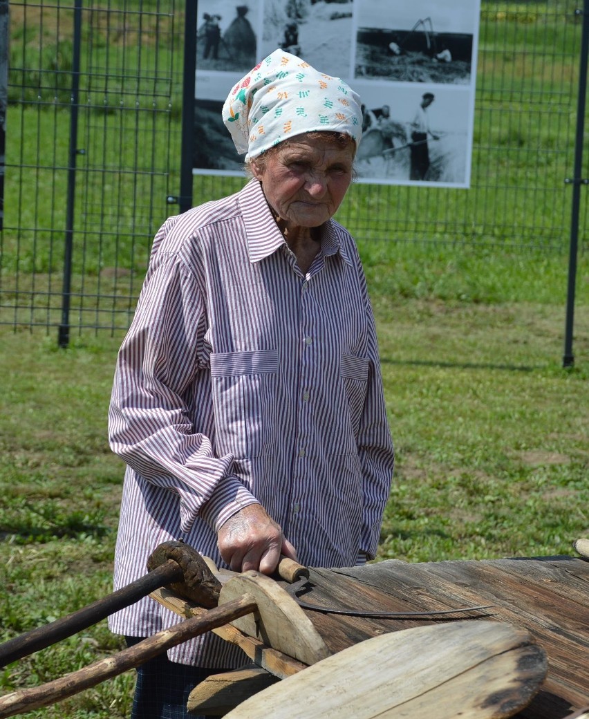 Na polach pracują kombajny, a w Ostrowie wyciągnęli z lamusa sierpy i kosy