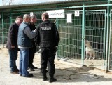 Makabra w centrum Pabianic. Amstaff zjadł swoją właścicielkę. To matka aktorki z filmu "Cześć Tereska"?