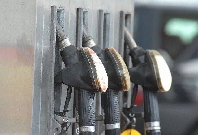 Sprawdź najnowsze ceny paliw w Lubuskiem.