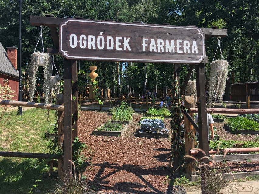 Ogródek farmera nową atrakcją w Twinpigs w Żorach - można zrobić selfie ze zwierzakami ZDJĘCIA