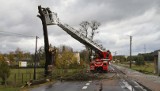 Orkan Grzegorz nad Opolszczyzną. Bez prądu jest 12,5 tys. odbiorców