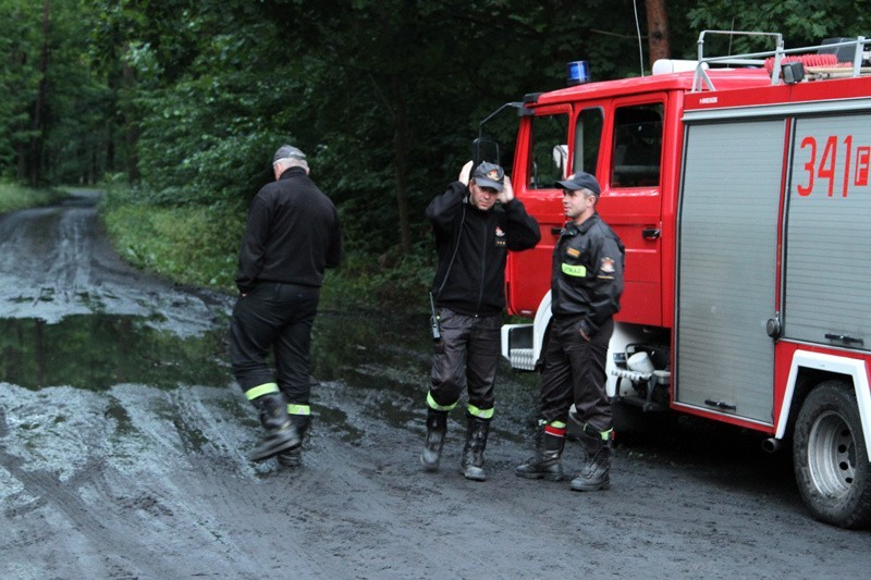 Akcja poszukiwawcza 12-latka w lesie pod Zieloną Górą