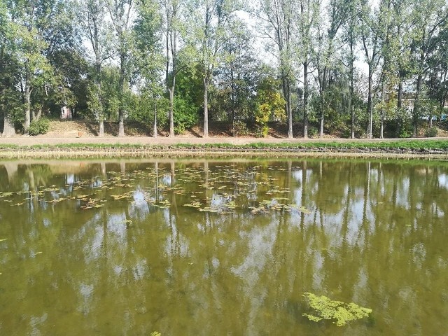 Tak teraz wygląda park Grabek w Czeladzi: nowe alejki, strumyki, mostki