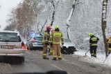 Wypadek na DW491 w Białej pomiędzy Kłobuckiem a Częstochową. Rozbił się samochód osobowy. Występują utrudnienia w ruchu