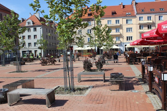 Bytomski Rynek znów się zazielenił. Pojawiły się nowe ławki, pergole oraz nasadzenia. Zobacz kolejne zdjęcia. Przesuwaj zdjęcia w prawo - naciśnij strzałkę lub przycisk NASTĘPNE >>>