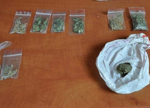 Narkotyki, które znaleziono w domku letniskowym