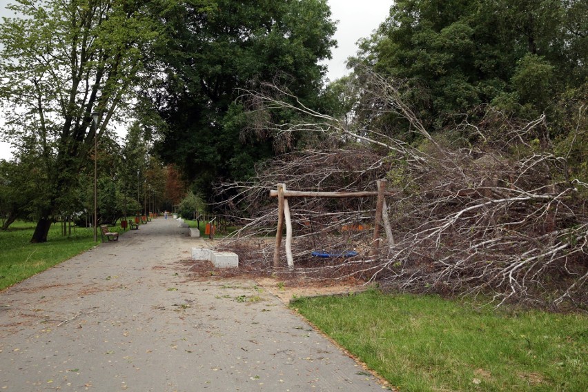 Około 1000 uszkodzonych drzew w Lublinie. Kilka dni potrwa usuwanie skutków nawałnicy. Zobacz zdjęcia