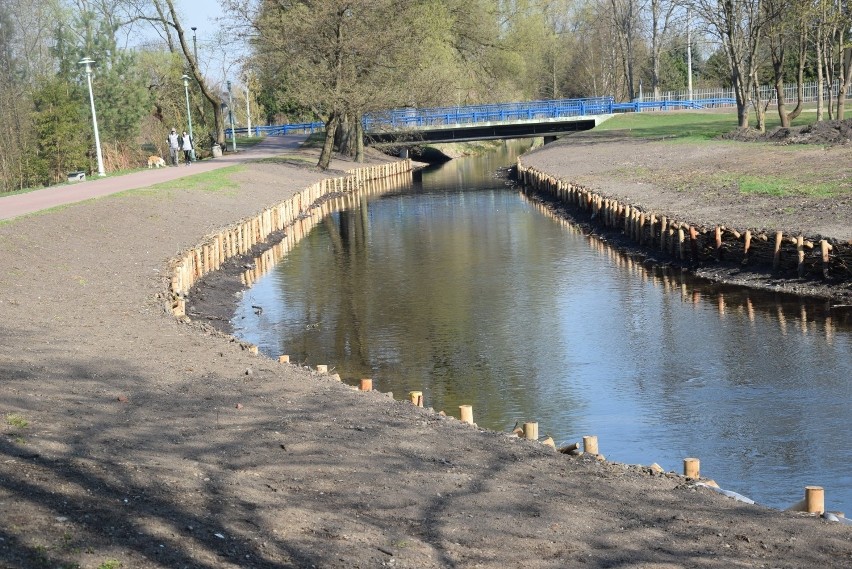 Suwałki. Nad Czarną Hańczą dzieje się tak wiele, że rzekę trudno poznać [ZDJĘCIA]