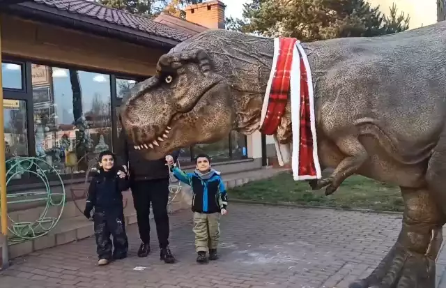 Dinozaur, którego można spotkać w Sosnowcu i Mysłowicach jest wierną kopią Tyranozaura.