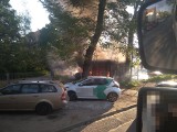 Pożar na Żernikach we Wrocławiu. Płonął śmietnik i samochody. Podpalenie czy bomba?