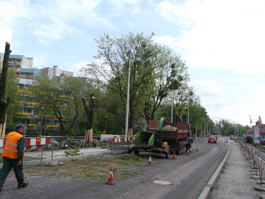 Wrocław: Drogowcy wycinają drzewa wzdłuż Przyjaźni (ZDJĘCIA)
