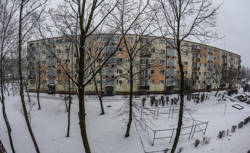 Prognoza pogody dla woj. lubelskiego. Grudzień ma być cieplejszy niż zazwyczaj