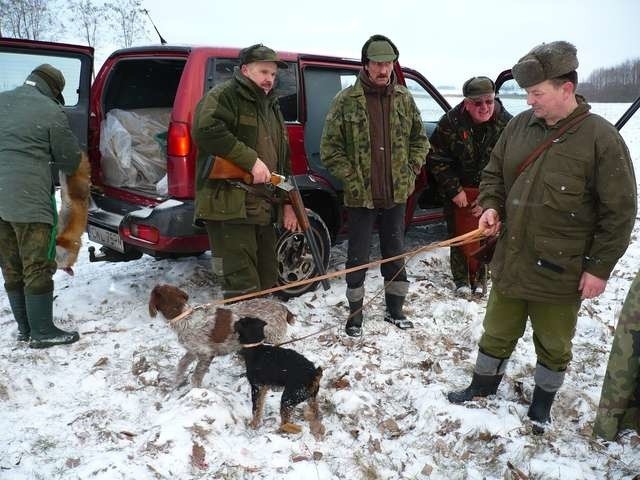 Myśliwi z koła nr 109 „Orzeł” po zakończeniu polowania na lisy, których w naszym regionie nie brakuje