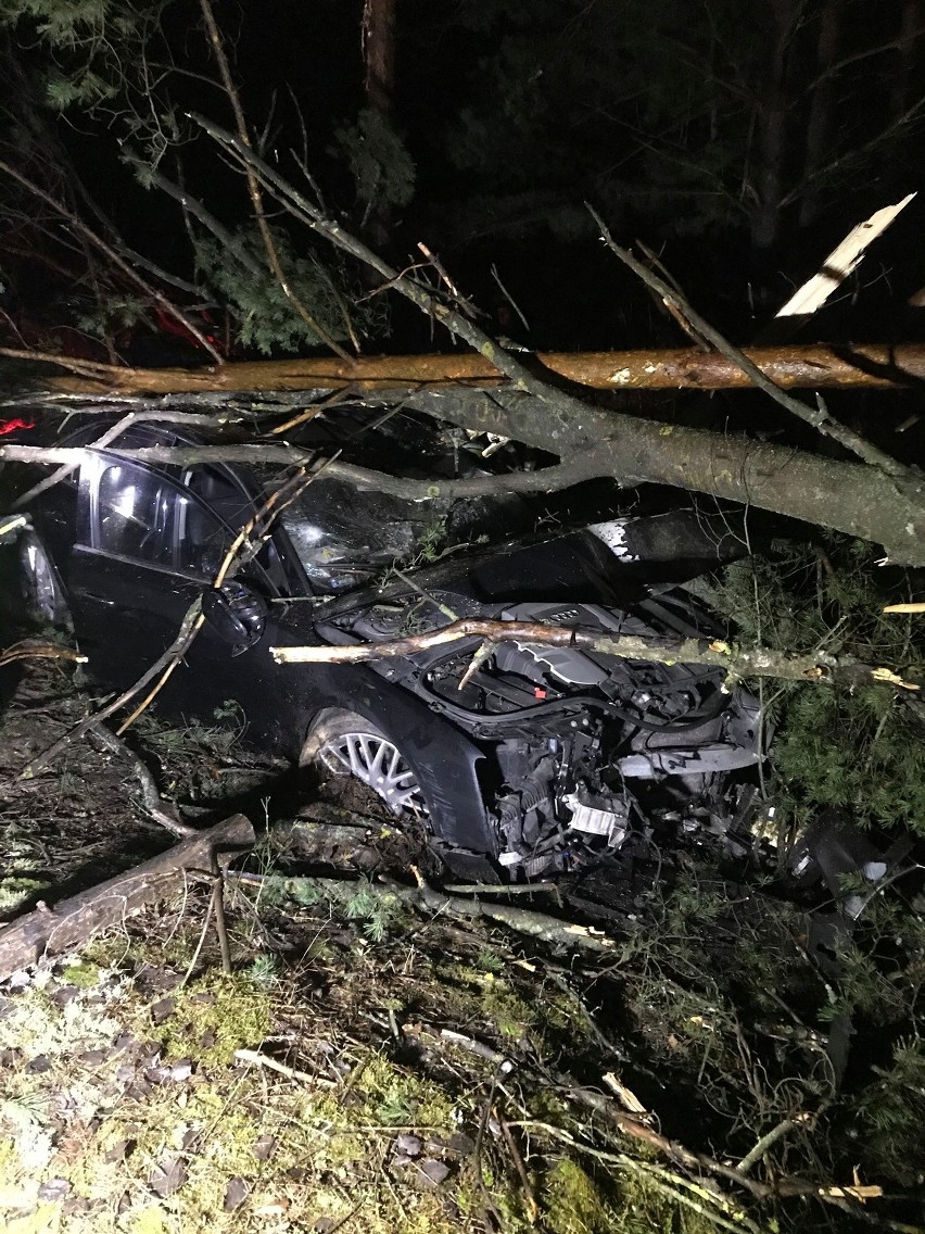 Wyszyna Fałkowska. Wypadek na krajowej drodze. Audi dosłownie wbiło się w las i ścięło kilka drzew. A kierowca zniknął... [ZDJĘCIA]