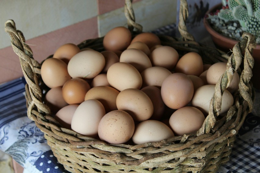 W opakowaniu zawierającym 12 czy 24 jajka zdarzają się aż...