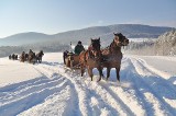 Gorlice. Ferie zimowe zapowiadają się atrakcyjnie. Pogoda już się do nich przygotowała