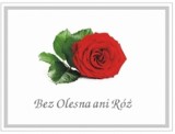W niedzielę Oleskie Święto Róży i gminne dożynki