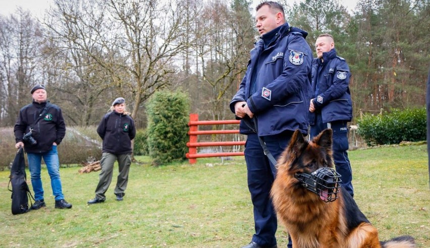 Starszy aspirant Marcin Jaroszyński ze swoim psem...