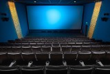 OSCARY 2020. Te filmy wciąż obejrzysz w Cinema City w Zielonej Górze [REPERTUAR]
